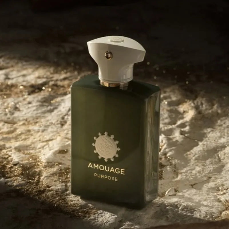 Amouage Reflection 45 XIV men's perfume in 100ml bottle, featuring elegant packaging and sophisticated fragrance design.