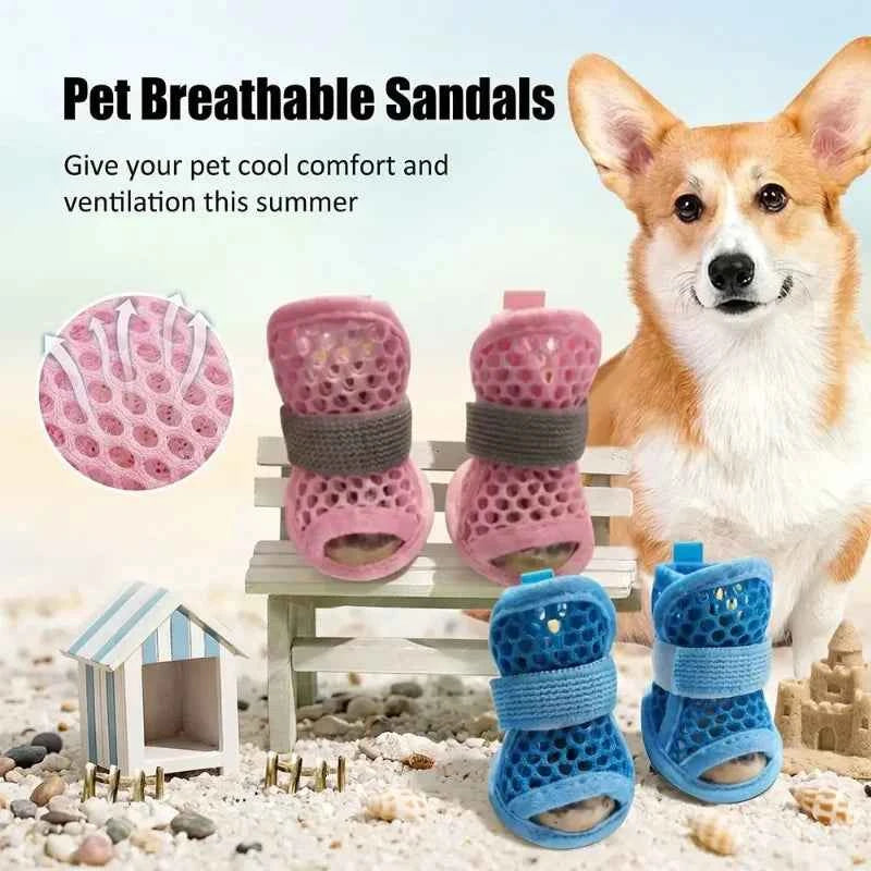 Set of four breathable mesh dog shoes in blue from Corporación Turística, designed for small dogs, showing the shoes on a white background.