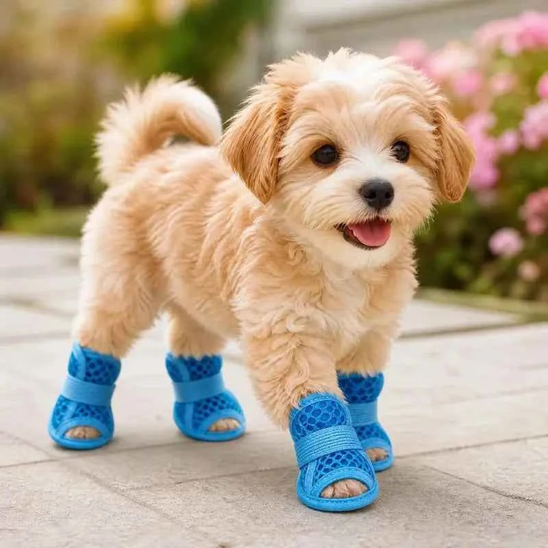 Four pairs of breathable mesh dog shoes in blue, designed for small dogs, by Corporación Turística, shown on a white background.