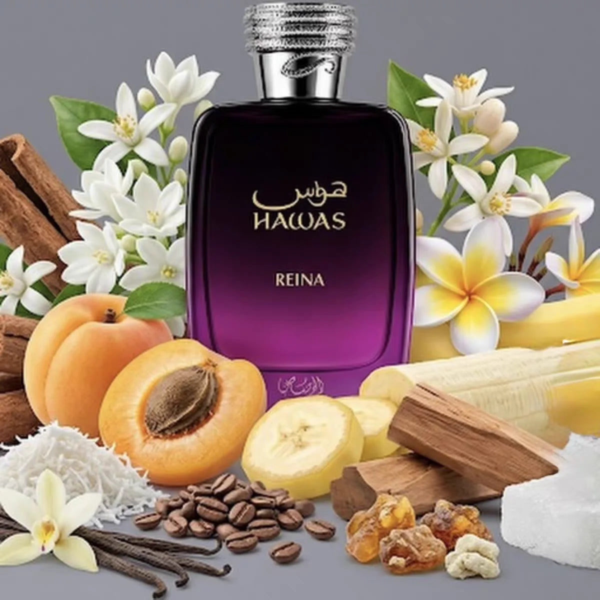 Hawas Reina perfume in a purple-black gradient glass bottle, featuring a sleek, elegant design for women.