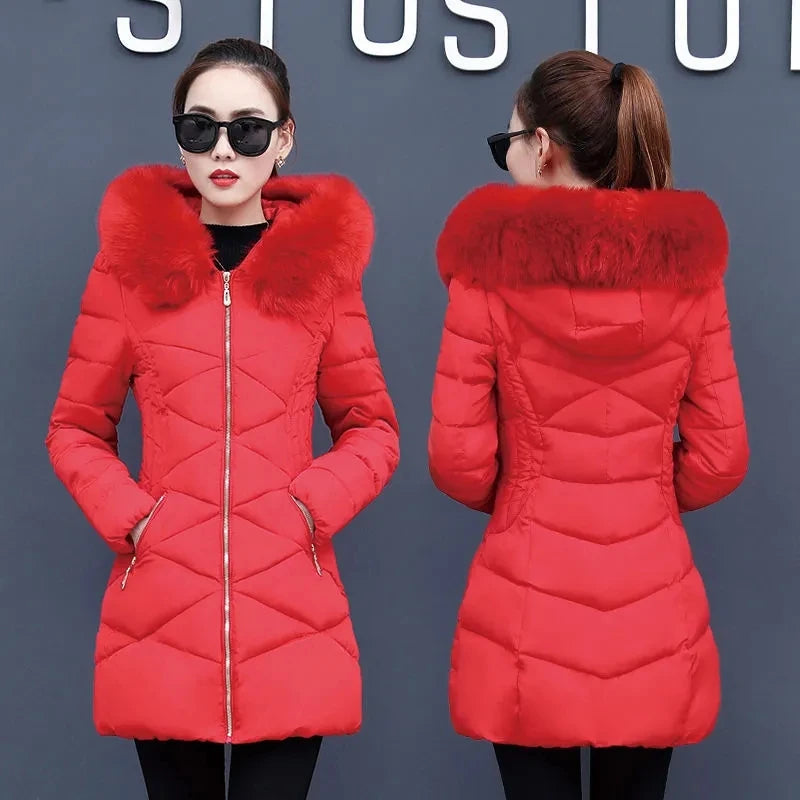 Long, slim-fit Korean fashion cotton jacket in red, styled by Corporación Turística, displayed on a mannequin.